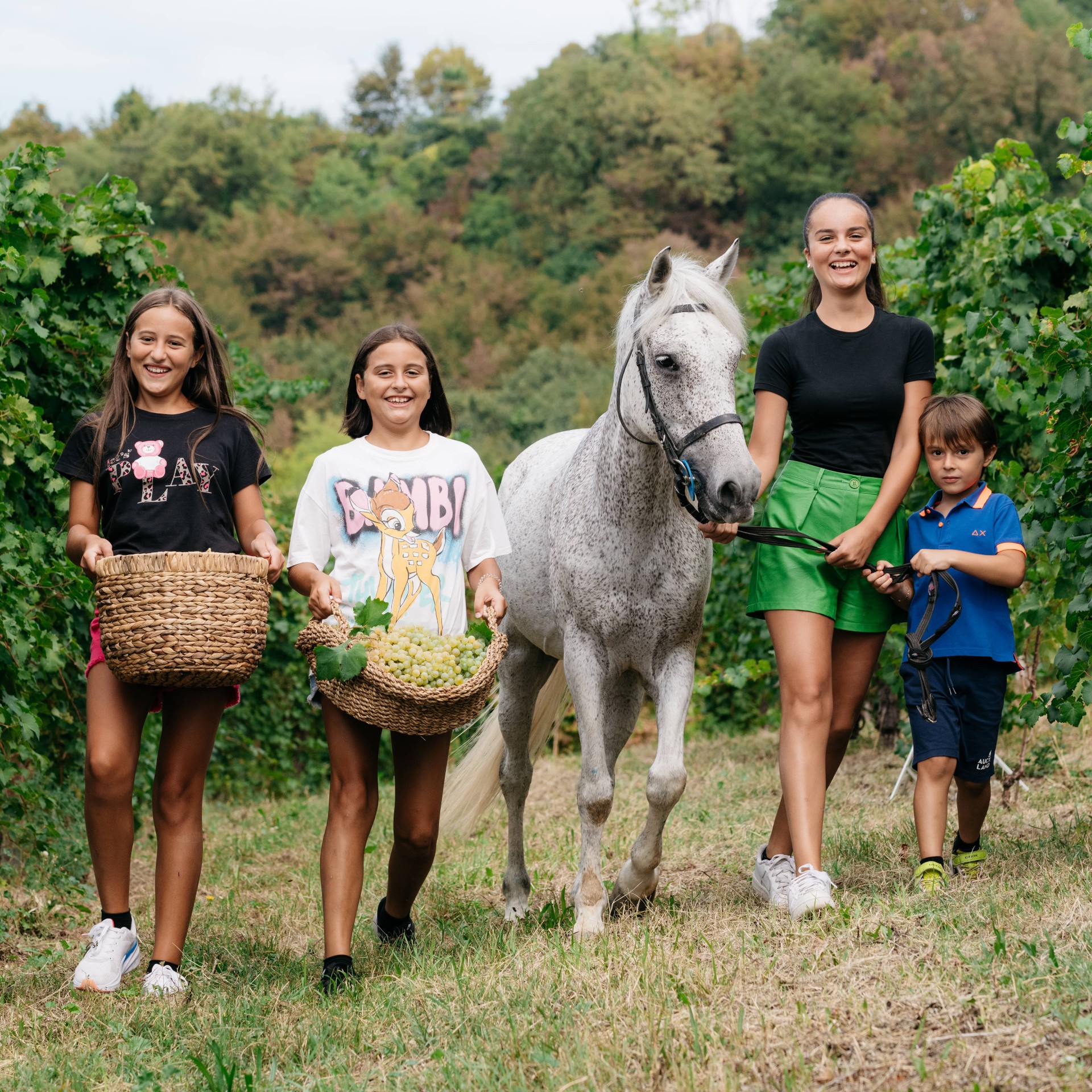 La vendemmia